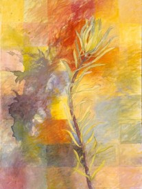 “Protea #7”  |  12” x 12”  |  Acrylic & Oil on Canvas