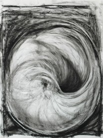 Shell Series #3 | 18″ x 24″ | Charcoal on Paper