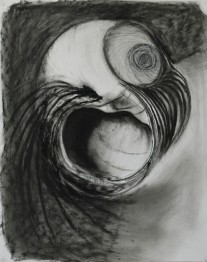 Shell Series #5 | 18″ x 24″ | Charcoal on Paper