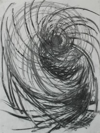 Shell Series #6 | 18″ x 24″ | Charcoal on Paper