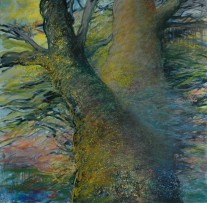 Oak | 36″ x 36″ | Acrylic & Oil on Canvas